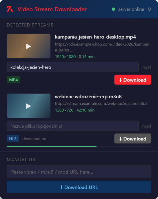 Okno wtyczki Agentify Video Stream Downloader